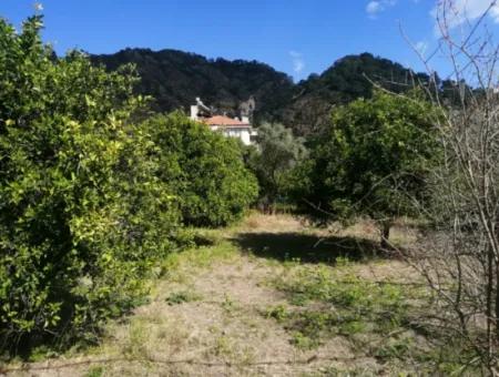 3 Plots Of Land For Sale In The Center Of Ortaca, Facing The Dalaman-Fethiye Road