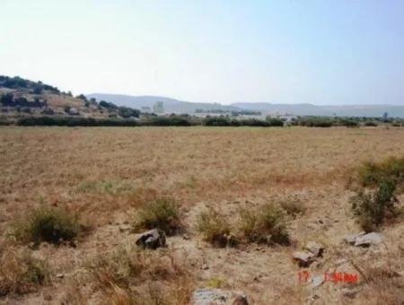 Mugla Milas Farm 10 000 M2 Land For Immediate Sale