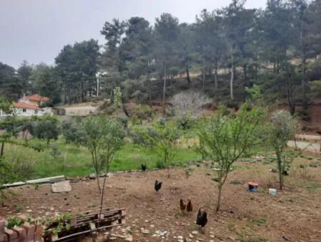 Köyceğinz Agla Yayla Opportunity 1050 M2 Zoning Land For Sale