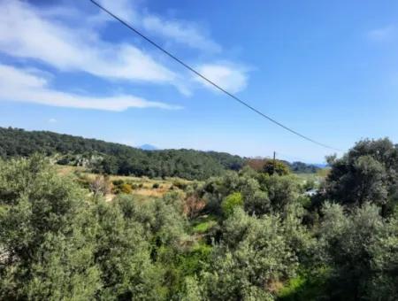 2 Parcels Of Land With 768 M2 Residential Development For Sale In Ortaca Sarıgerme