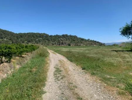 Bargain Detached Land For Sale In Ortaca Güzelyurt