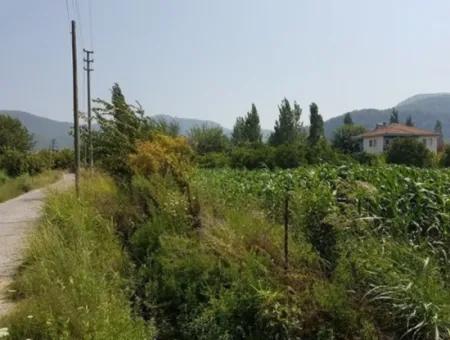 Detached 15000 M2 Fertile Land For Sale In Mugla Ortaca Archers