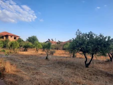 1080 M2 Zoning Land For Sale In Köyceğiz Toparlar