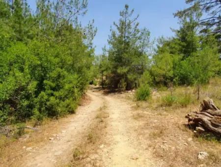 3031 M2 Detached Field For Sale In Mugla Menteşe Denizova