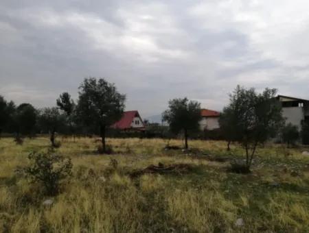 2788 M2 Field With Lake View For Sale In Mugla Köyceğiz Zeytinalanı