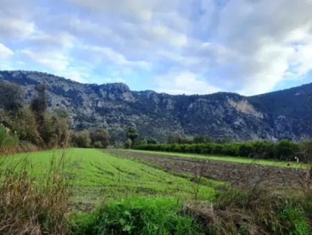 Mugla Dalyan 1100 M2 Land With Bargain Shares Suitable For Investment For Sale
