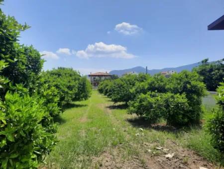 722 M2 Zoned Detached Land For Sale In Dalyan, Muğla