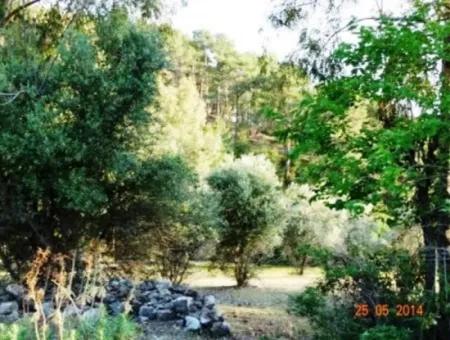 600 M2 Sea View Garden For Sale In Mugla Fethiye Eldirek