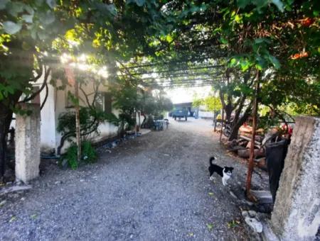 7 250 M2 House For Sale, Greenhouse And Pomegranate Garden For Sale In Ortaca Eskiköy