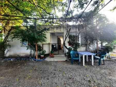 7 250 M2 House For Sale, Greenhouse And Pomegranate Garden For Sale In Ortaca Eskiköy