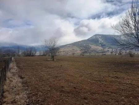 Denizli Çameli Belevi De 358 M2 Detached Deed Field Hobby Garden For Sale