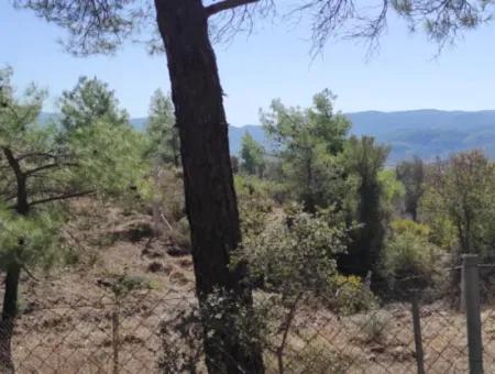 Ula Esentepede 4 200 M2 Sea View Land For Sale