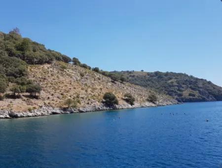 Fethiye Gocek Island Sea Side Location 2600 M2 Olive Grove For Sale