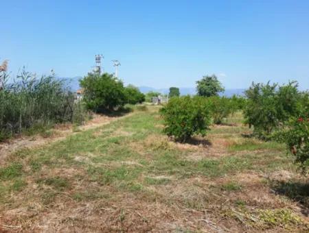 Muğla Ortaca Tepearası For Sale Kelepir Detached 22 250 Land