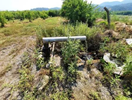 Muğla Ortaca Tepearası For Sale Kelepir Detached 22 250 Land