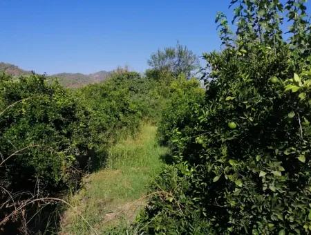 Plot For Sale In Ortaca On The Road To Zero