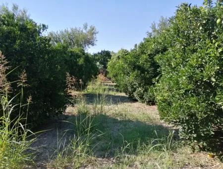 Plot For Sale In Ortaca On The Road To Zero