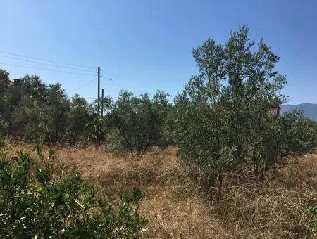 Lake View Land For Sale At Zeytinalani