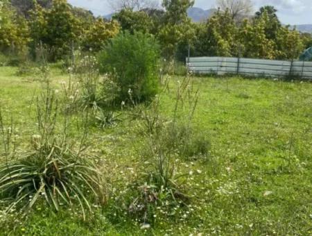 541 M2 Detached Land For Sale In Çandır, Muğla Köyceğiz