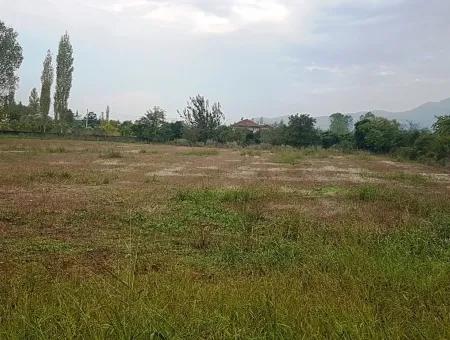 Suitable Land For Investment For Sale In Fire