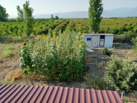 Detached House And Land For Sale In Muğla Ortaca Tepearası