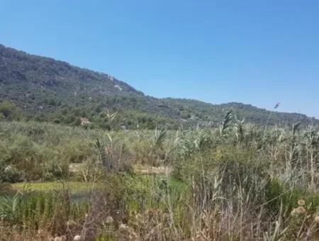 5-Year Rental Waterfront Land In Ortaca Sarıgerme