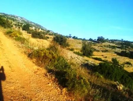 Land With Sea View For Sale At Boğaziçi Seydikemer