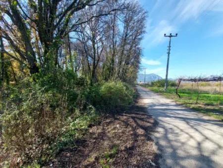 1000 M2 Land Front To The Main Road In Ortaca Okçular For Sale