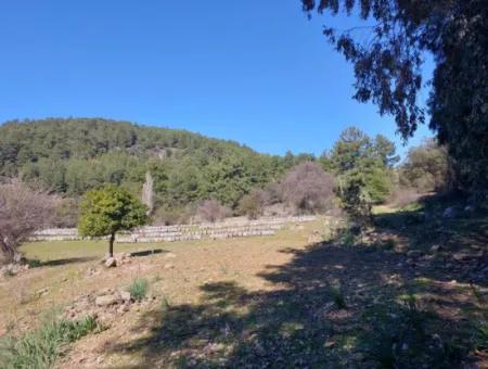 2 400 M2 Field For Sale In Muğla Ortaca Gökbelde Nature