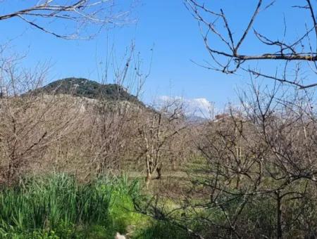 Muğla Dalyanda Canal Front Detached 5 000 M2 Land For Sale