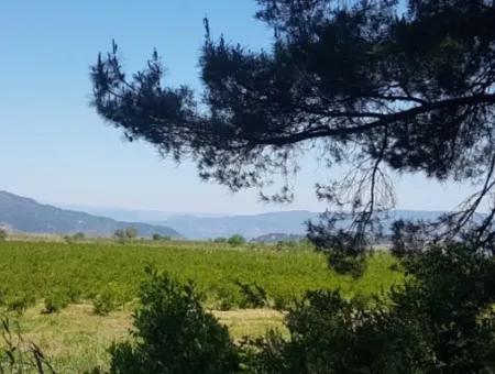 Garden Of Pomegranates For Sale In Dalyan