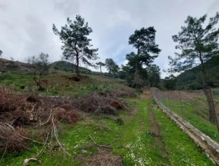 Ortaca Gökbelde Detached Nature In 626M2 Land For Sale