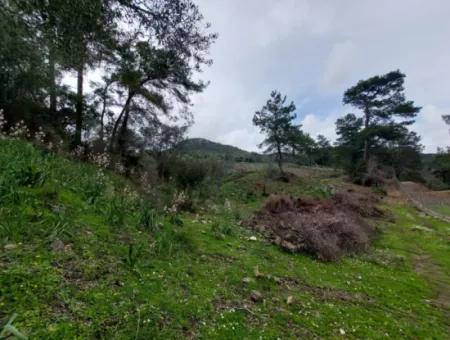 Ortaca Gökbelde Detached Nature In 626M2 Land For Sale