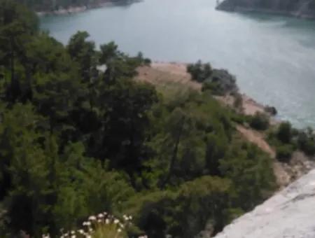 Farmland For Sale In Dalaman Bozbel Also With Views Of The Lake Dam