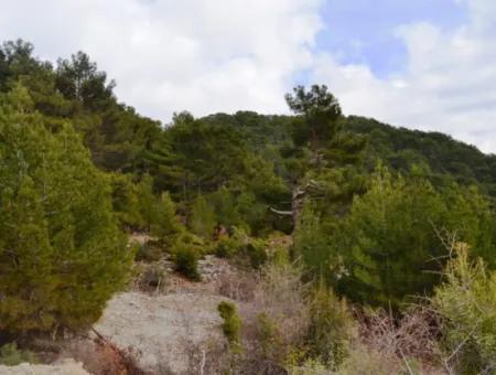 Fethiye, Nifte, 2 000 M2, Detached For Sale, Bargain Land