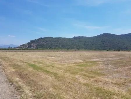 Oriya Eksiliyurt Mah. 26512 M2 Arable Land Also For Sale