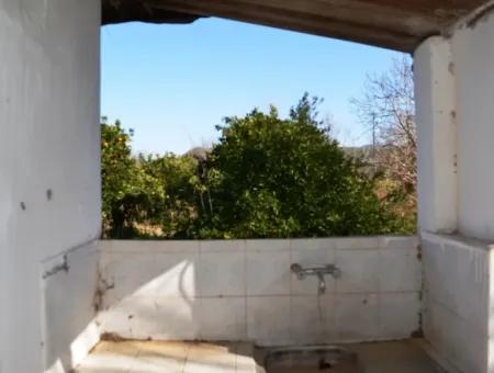 Village House For Sale In Orange Grove And Beyoba