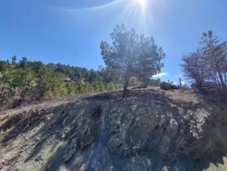Bargain Land For Sale In Çameli Gökçeyaka 1 844 M2 Detached Land For Sale.