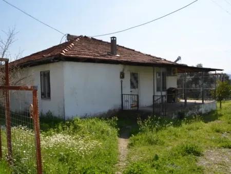 Zeytinalani Koycegiz With Lake View For Sale At Village House
