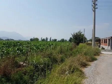 3000 M2 Land Suitable For Investment For Sale In Mugla Ortaca Archers