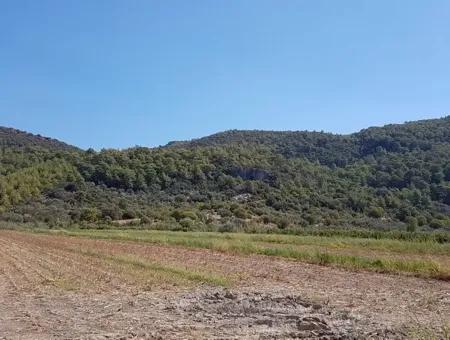 Fertile Land For Sale In Famagusta Bargain