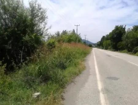 Oriya Land Near Main Road For Sale In Fethiye