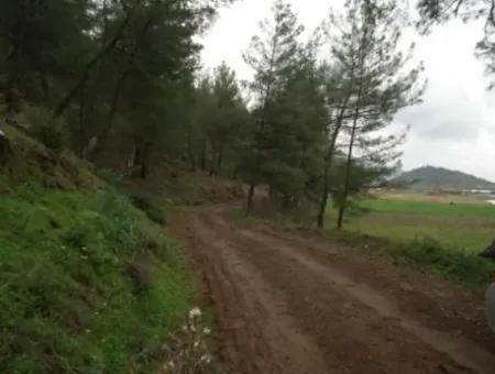 10,000 M2 Of Land Suitable For Investment Is For Sale In Ortaca Gölbasi