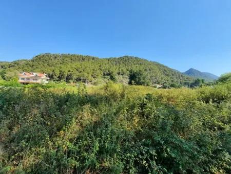 Vineyard Garden Zoning Land For Sale In Gocek Inlice