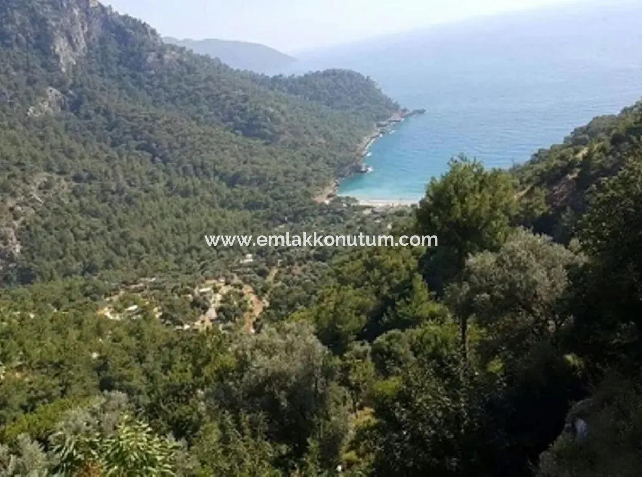 Fethiye Faralya Da Satılık Deniz Manzaralı Arsa, 6750 M2