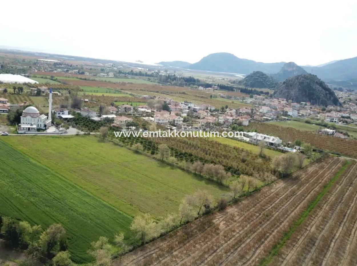 Mugla Dalyan Da 5.000 M2 Müstakil  Arazinin 250 M2 İnşaat Müsadeli  Arsa Satılık