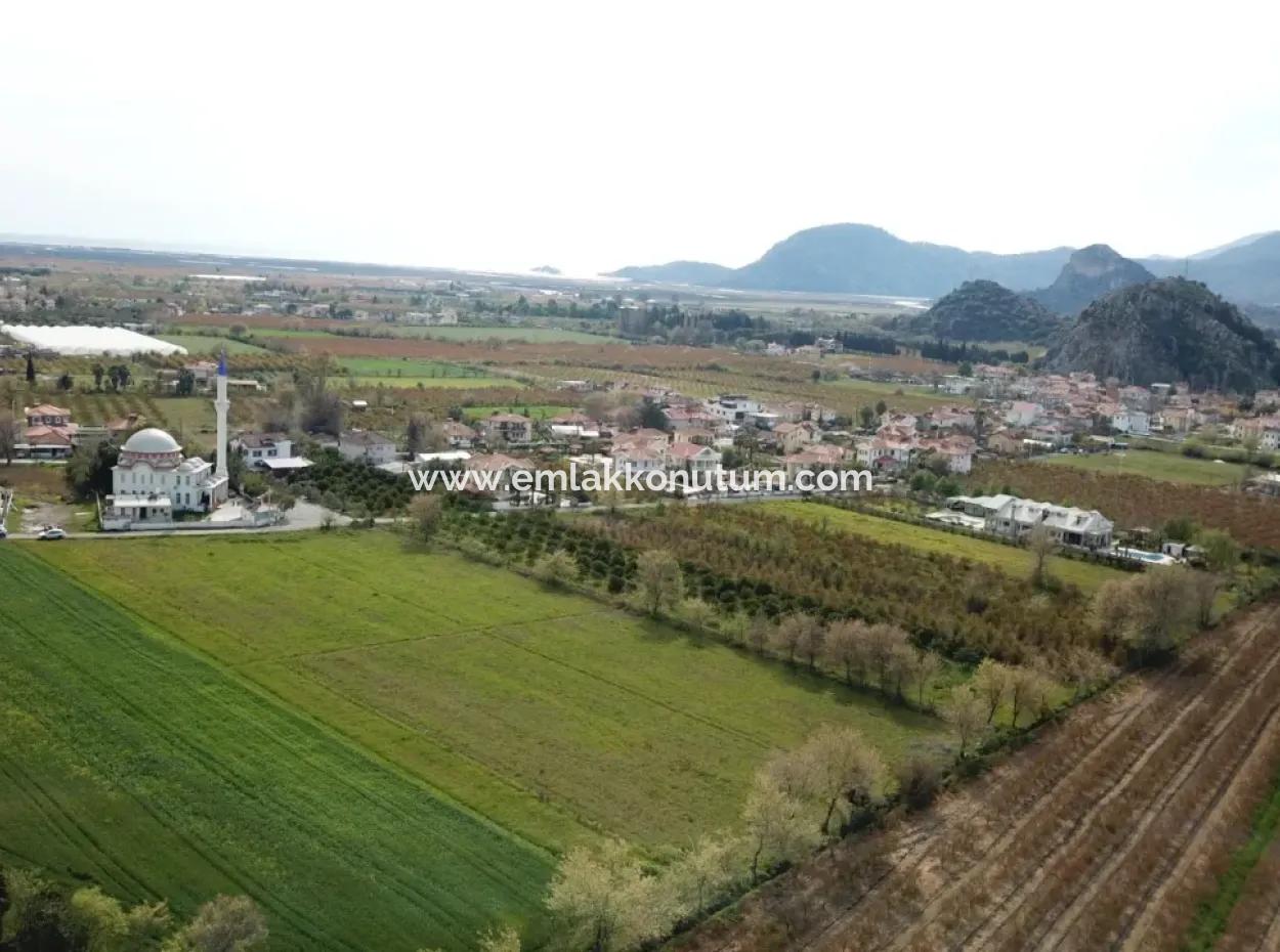 Mugla Dalyan Da 5.000 M2 Müstakil  Arazinin 250 M2 İnşaat Müsadeli  Arsa Satılık