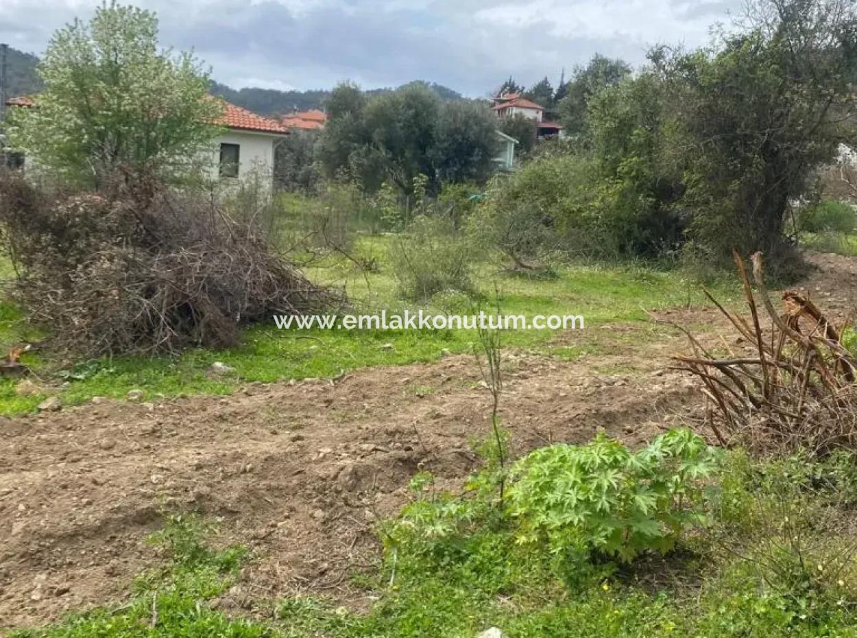 Muğla Köyceğiz Çandır Da 541  M2 Müstakil Satılık Arsa