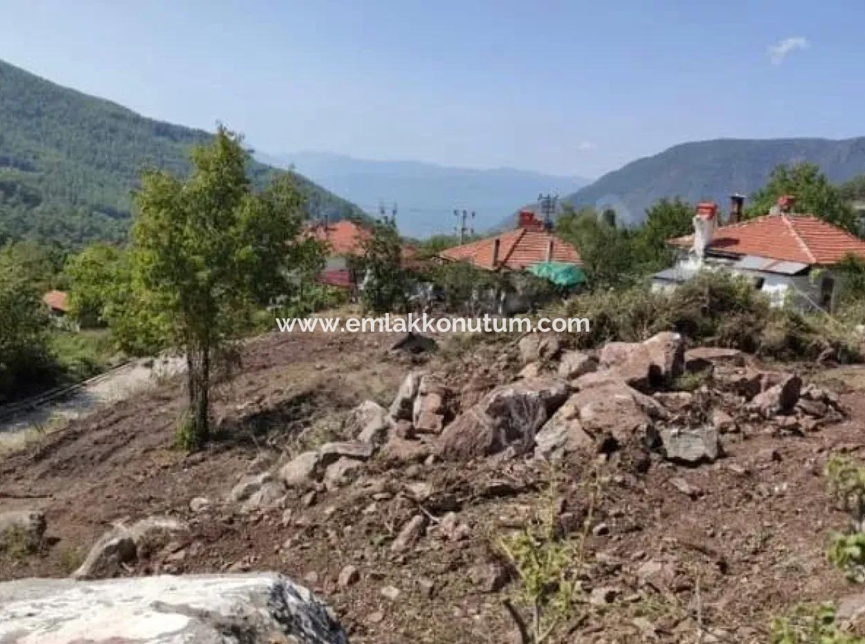 Muğla Köyceğiz Yayla Mah 570 M2 Arsa Satılık