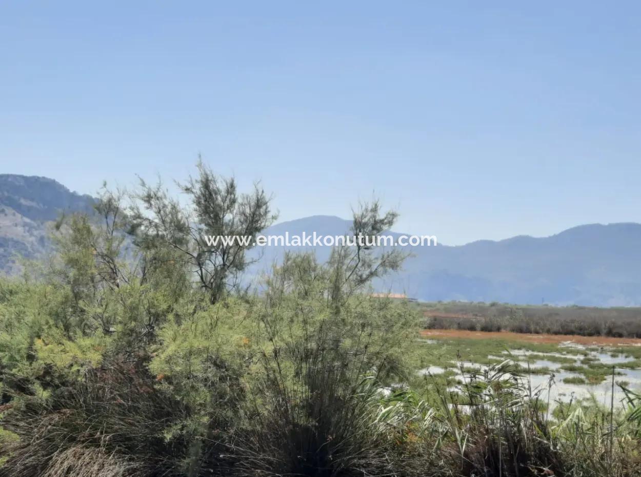 Muğla  Dalyanda 17,500 M2 Kanala Yakın Müstakil Kelepir Arazi Satılık